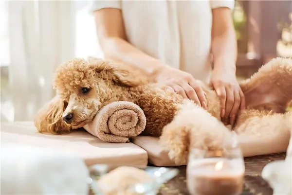 Patient experiencing the benefits of massage therapy