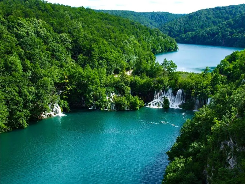 Athletes benefiting from chiropractic care at Gentle Care